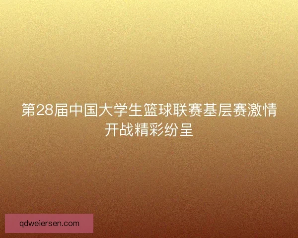 第28届中国大学生篮球联赛基层赛激情开战精彩纷呈