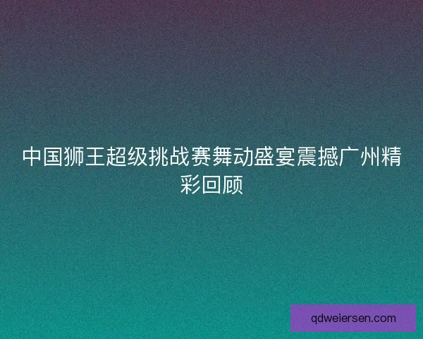 中国狮王超级挑战赛舞动盛宴震撼广州精彩回顾
