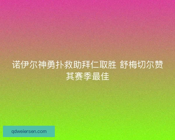 诺伊尔神勇扑救助拜仁取胜 舒梅切尔赞其赛季最佳